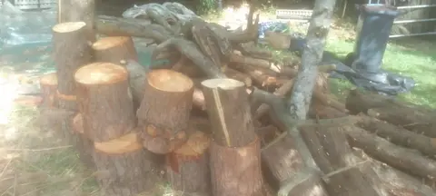 bois de chauffage