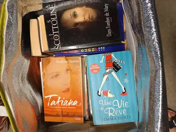 livre roman tout un lot ou à l'unité