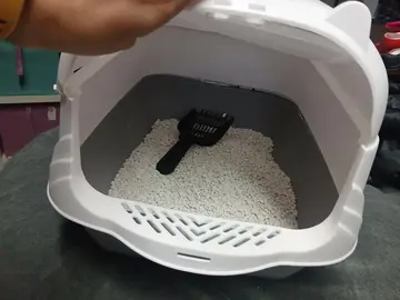 caisse à chat