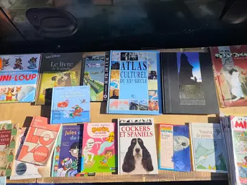 Lot de livre enfant