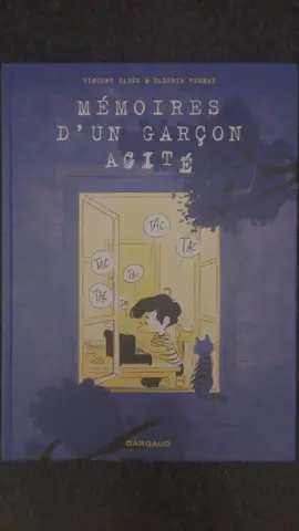 BD - Mémoires d'un garçon agité
