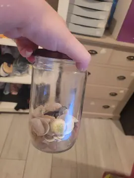 pot de coquillage