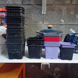 Pots à semis