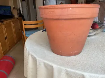 grand pot pour plante