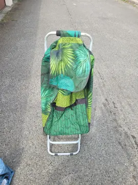 chariot de courses