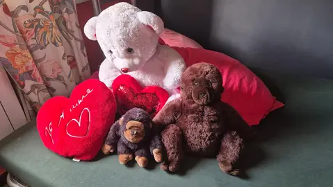 nounours et coussin