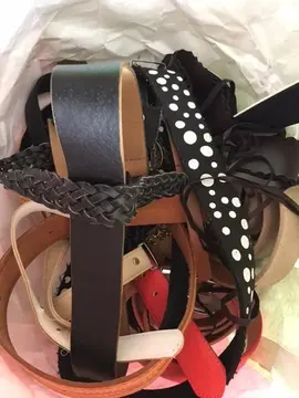 lot sacs + ceintures + sous vêtements femme