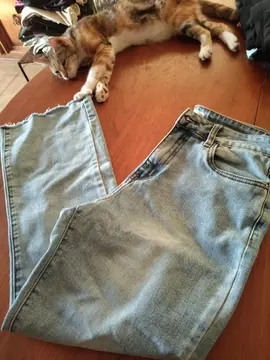 jean femme Miss t 40