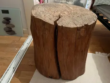 Tronc d’arbre