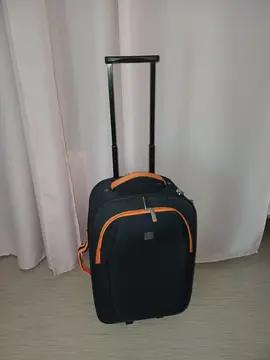 valise