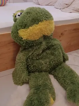 Peluche grenouille géante