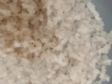 grains de kéfir de fruits déshydratés