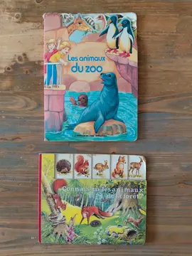 livres cartonnés années 2000