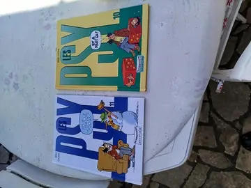 lot Bande dessinées