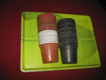 Cinquantaine de pots pour boutures ou semis