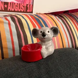 vide poche koala