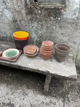 Divers pots de fleurs