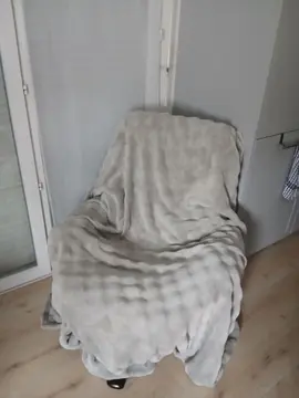 fauteuil