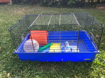 Cage pour lapin