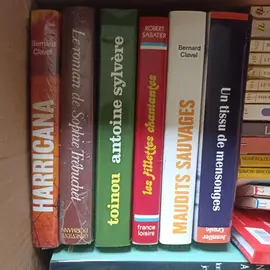 lot de livres divers