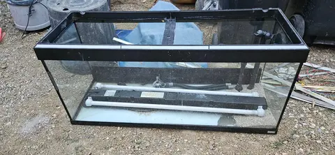 aquarium