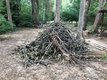 Tas de bois ( chêne)