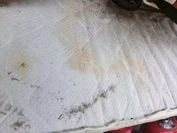 Matelas usagé taché pour animaux