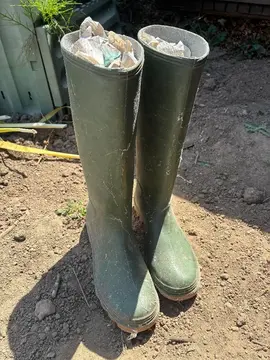 Bottes
