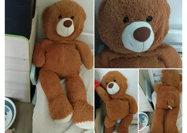 peluche