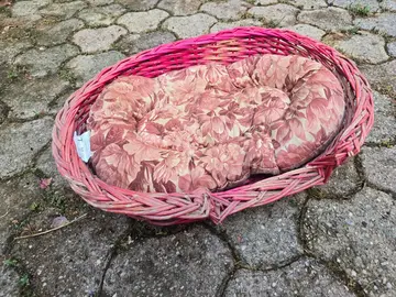 panier chat ou chien