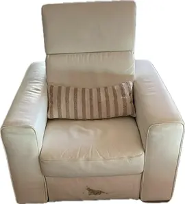 lot de 2 fauteuils en cuir blanc