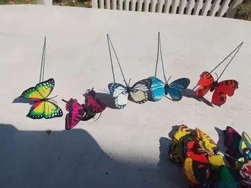 Papillons sur tiges