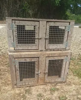 Cage à animaux