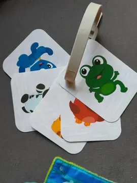 cartes en plastique
