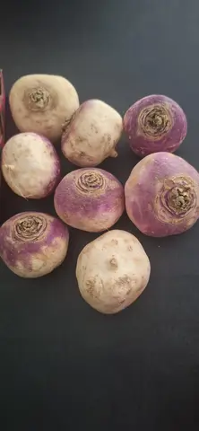 8 navets