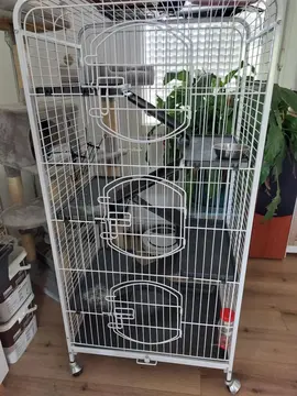 cage hamster ou rongeurs