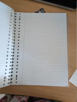 Cahier spirale A4 avec intercalaires