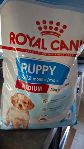 Croquettes pour chiots