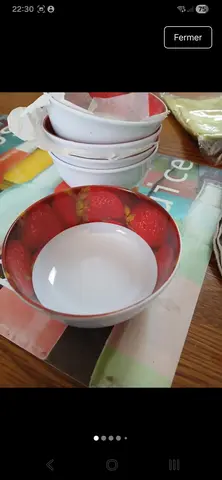 assiettes coupelles en melamine