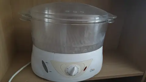 Cuiseur vapeur électrique