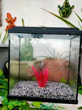 Aquarium 30X29X14 cm