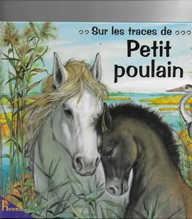 livres pour enfants