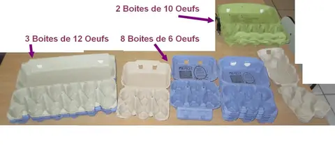 13 boites à Oeufs (8 de 6, 3 de 12 et 2 de 10) (vides)