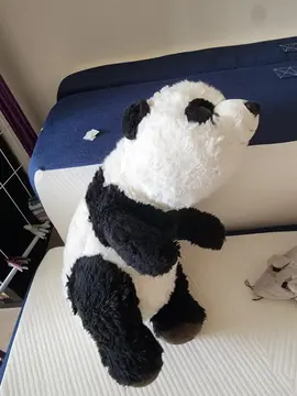 peluche panda