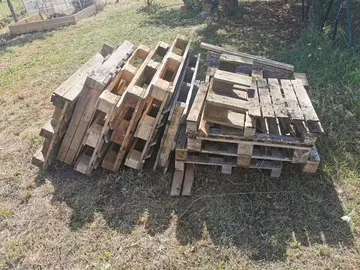lot palettes