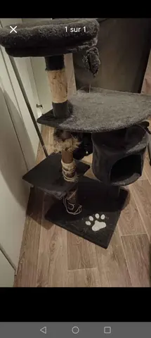 Arbre à chat