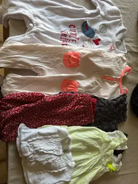 lot vêtement fille 9 mois