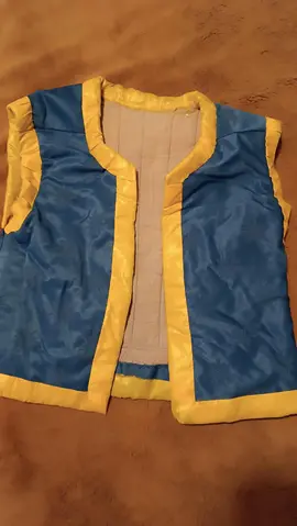 Veste de déguisement