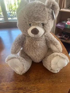 Ours en peluche