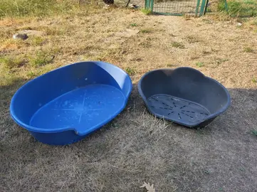 caisses pour chiens
